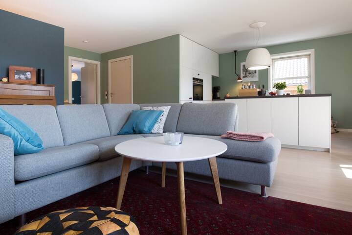 Large modern cozy home by the river. Balcony. gallery image 5