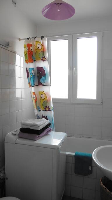 salle de bain (petite baignoire, lavabo, toilettes avec sanibroyeur, lave-linge)