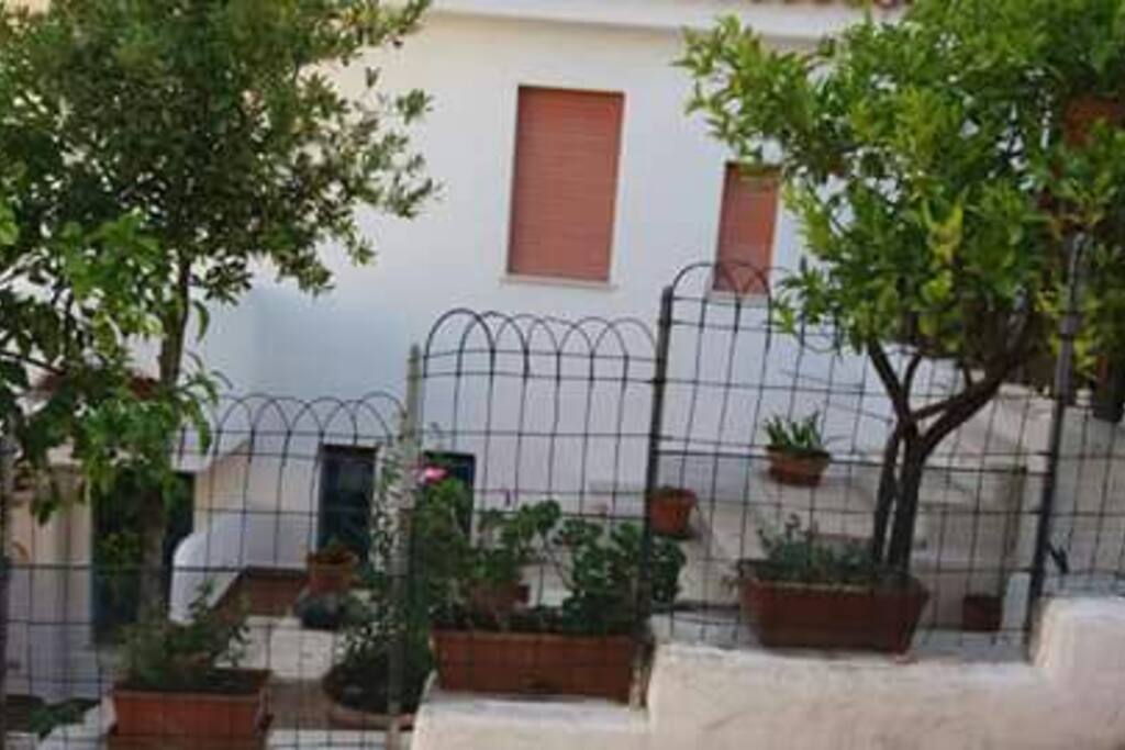 Vista giardino.