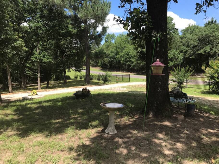 View from front porch
