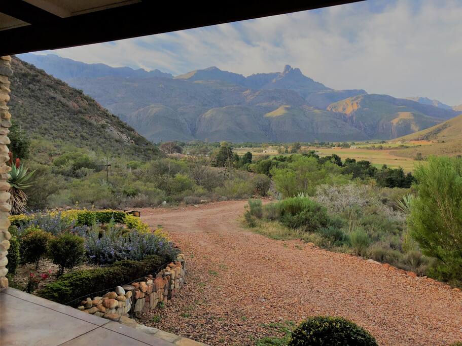 Views from the Patio