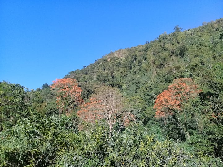 Green Mountain Apartment Near Capital And Nature - 포트오브스페인
