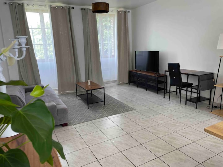 T3 Proche Nogent S/ Seine - Nogent-sur-Seine