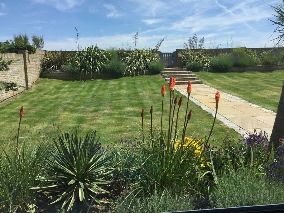 View from your bedroom window.