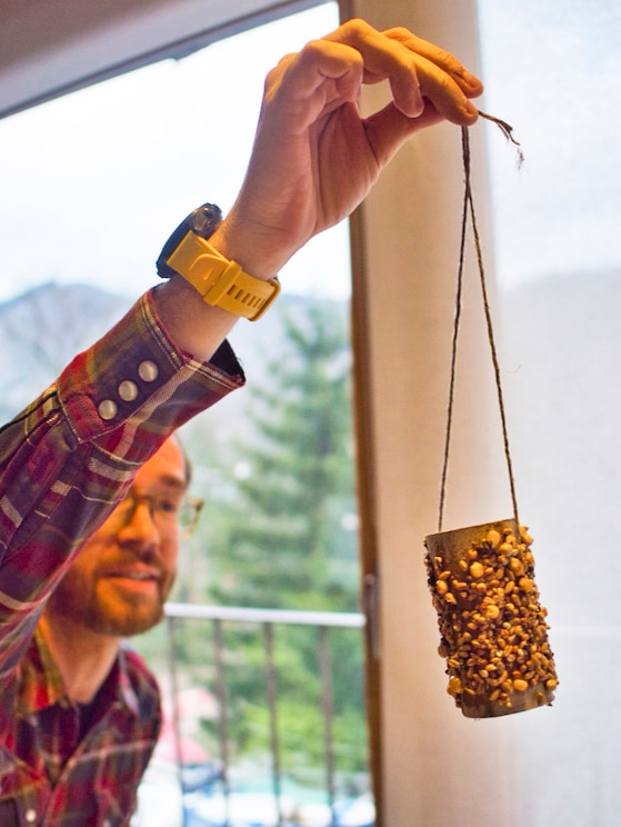 Show full-screen, host-provided image