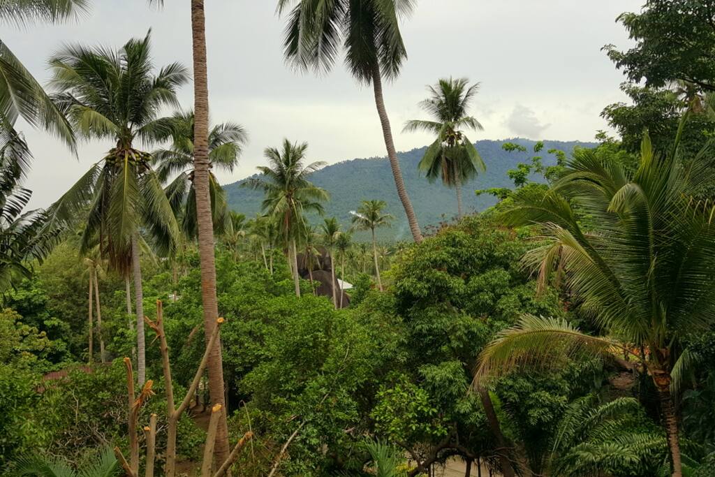 View on the tropical paradise