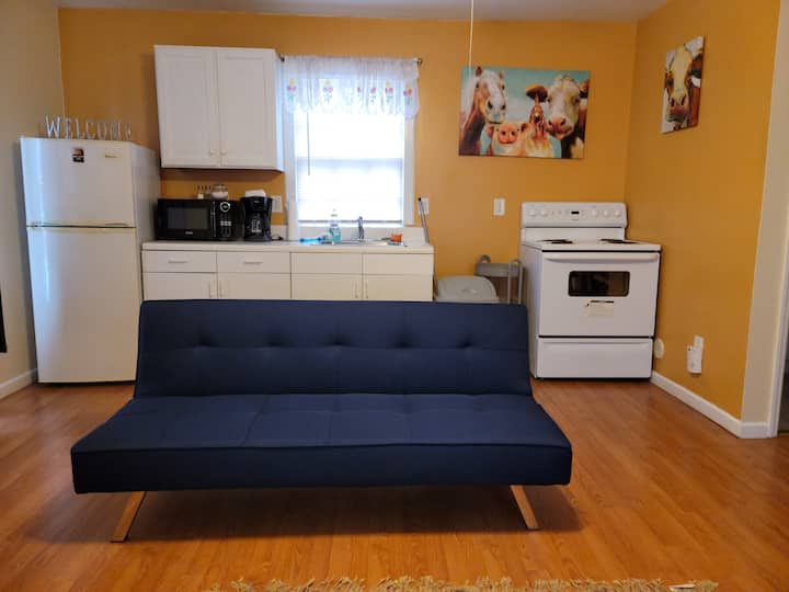 Studio Apartment Situated In Downtown Greensboro - Greensboro, NC
