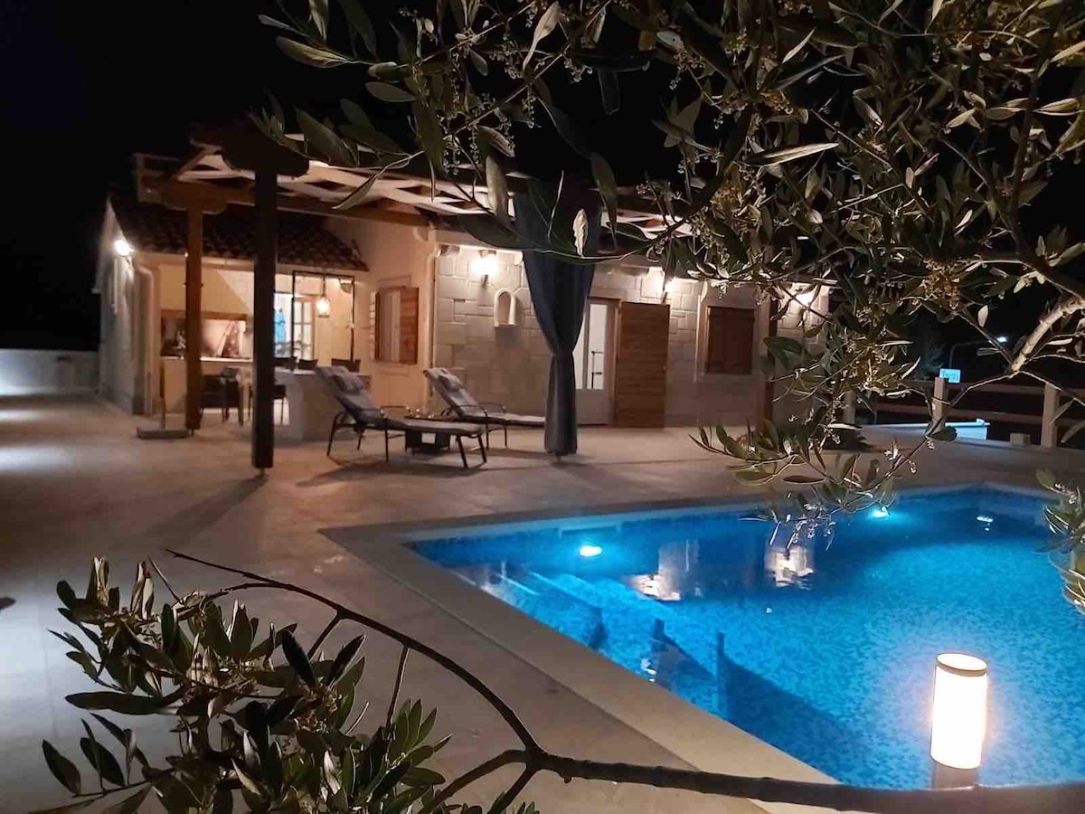 The image captures a modern villa at night, featuring a serene swimming pool with soft blue lights reflecting on the water’s surface. Olive branches frame the foreground, while the villa's outdoor seating area, adorned with shaded lounges, can be seen in the background.