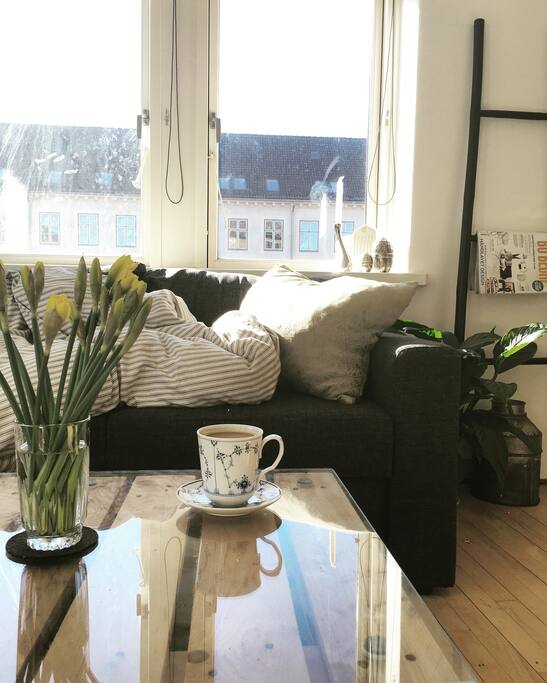 Home