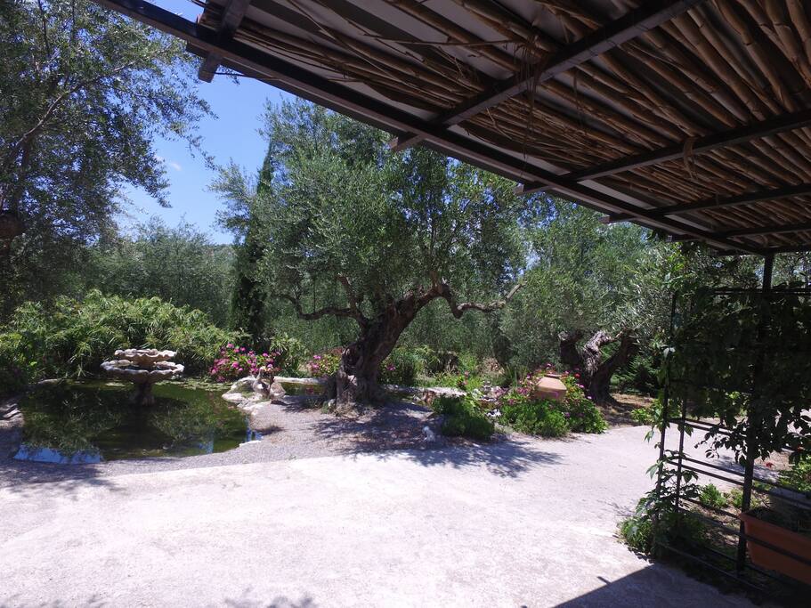This is a beautiful corner with shadow in front of the lake where you can have your breakfast or read your book.