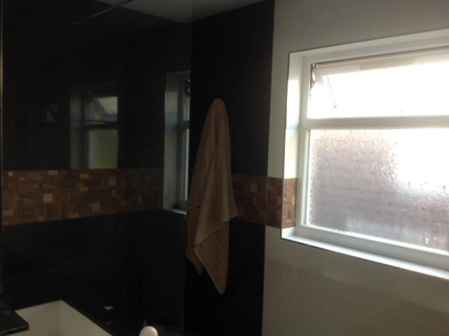 master ensuite bath