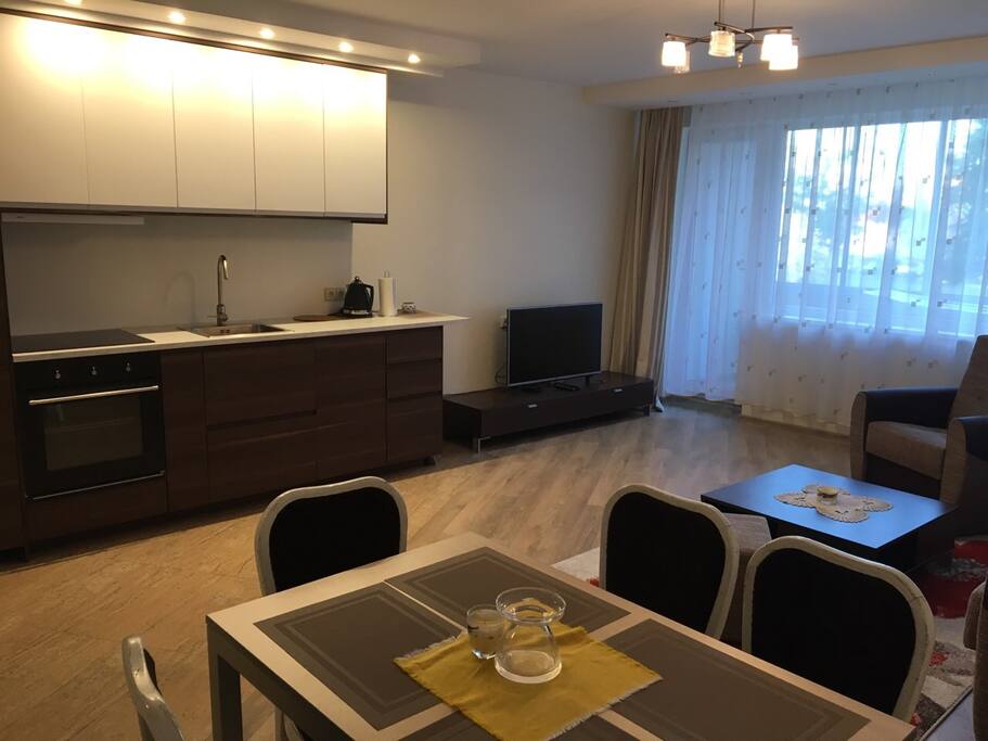 living room/kitchen