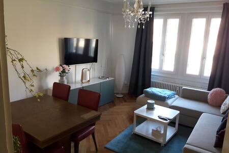 Chambre dans appartement idéalement situé