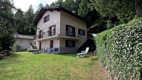 House in the Woods - Alpine View