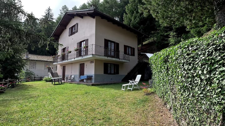 House in the Woods - Alpine View