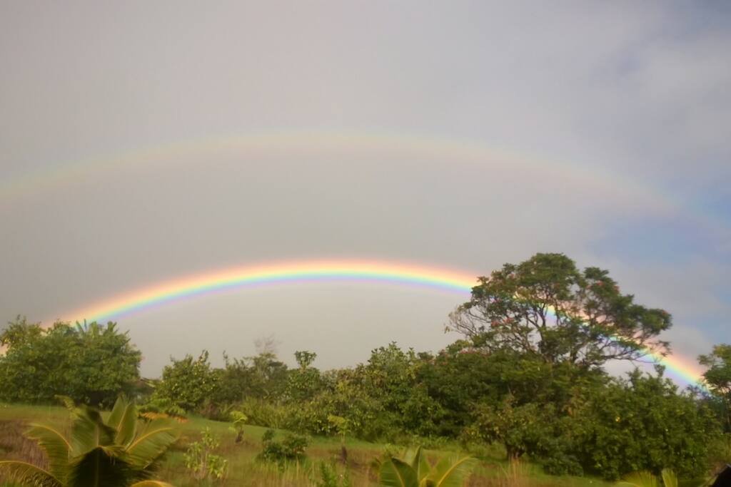 Rainbows are common