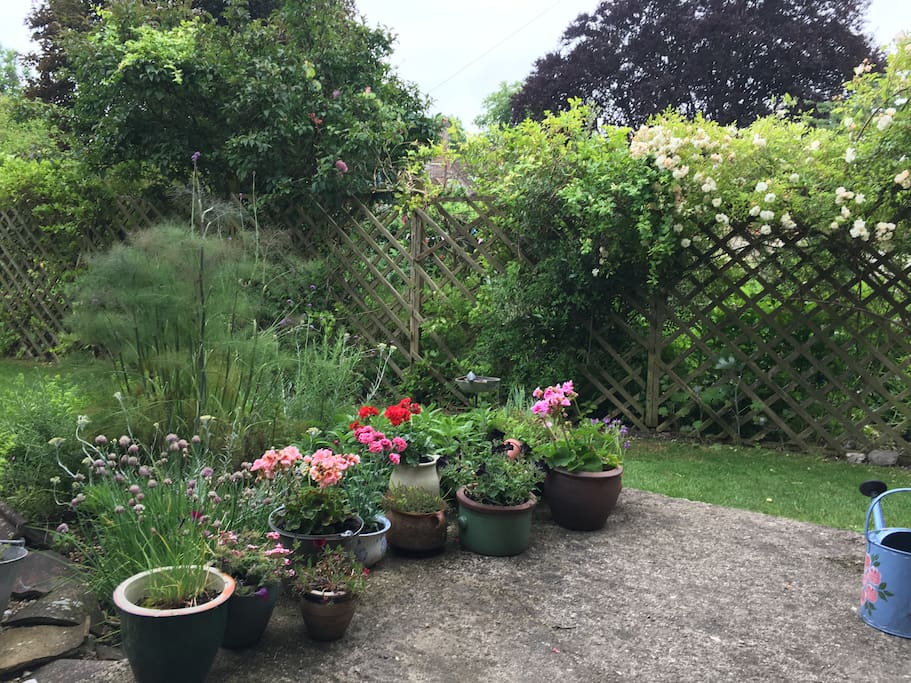 Herb Garden