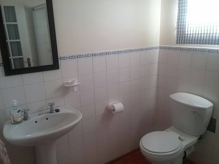 Basin & Toilet