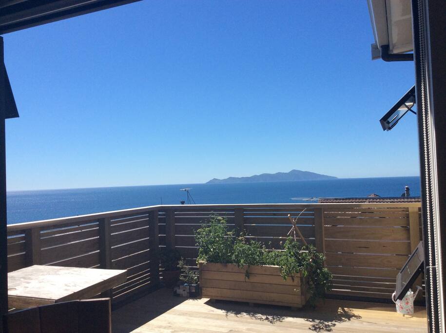 Kapiti island from deck