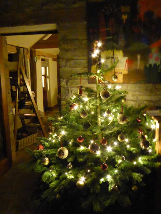 We are fully booked over the festive period- but we do have a handful of days just before Christmas.