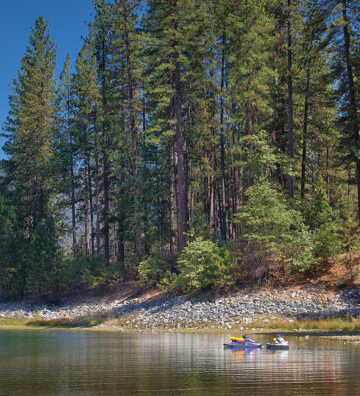Two kayaks are moored near a rocky shoreline, surrounded by tall pine trees. The tranquil water reflects the greenery and blue sky, creating a serene atmosphere.