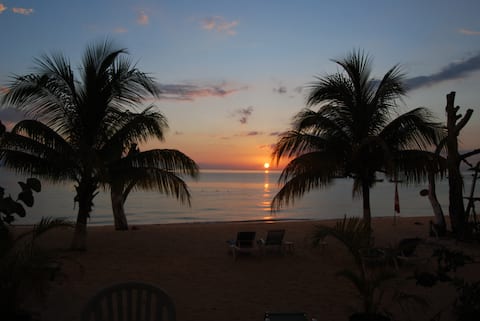 Native Son Villa on Negril's 7 mile beach