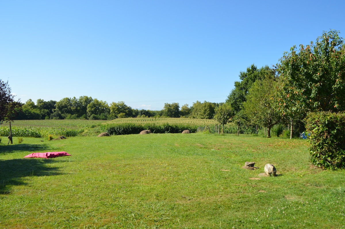 A spacious green lawn stretches under a clear blue sky, bordered by trees and shrubs. Rows of crops are visible in the distance, contributing to the rural landscape. Rocks are placed throughout the yard, offering natural accents to the tranquil setting.