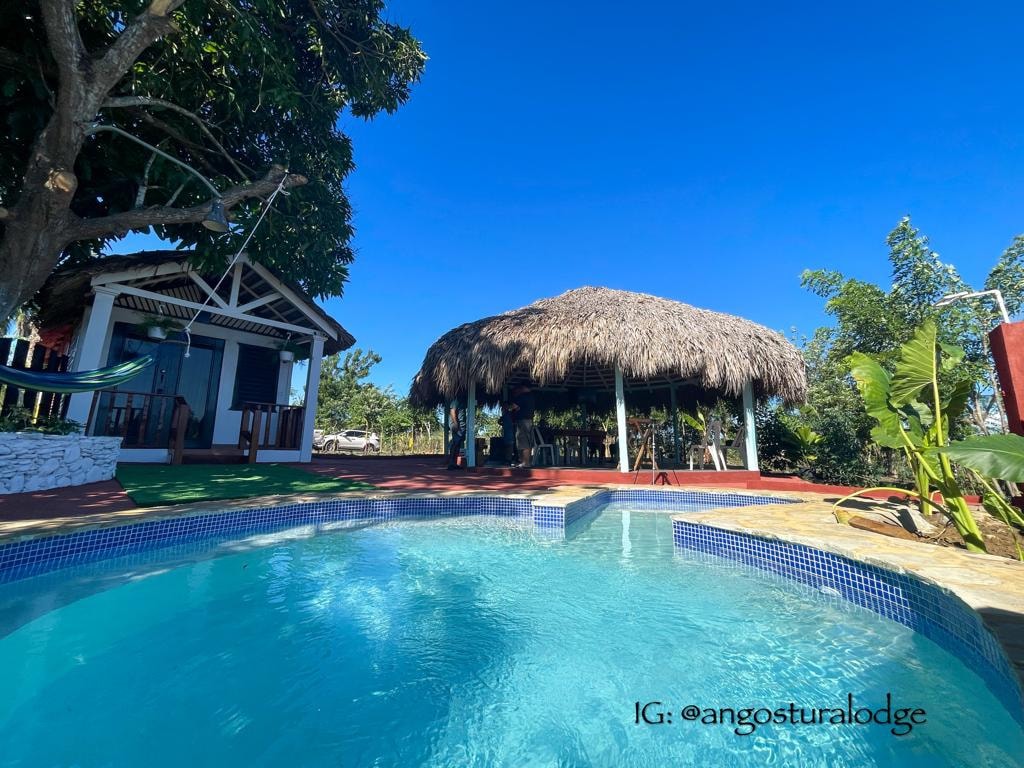A swimming pool sits in the foreground, reflecting blue skies. In the background, a thatched-roof kiosk with open seating is visible, surrounded by lush greenery. The cabin, constructed with local materials, is partially obscured by the vibrant landscape.