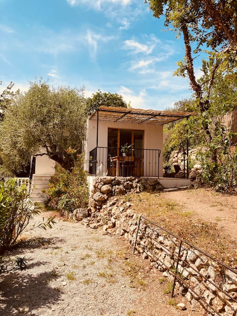 La Casa Siesta