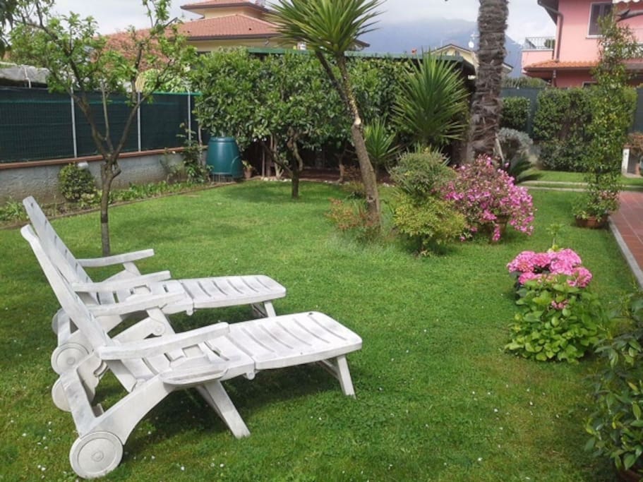 giardino