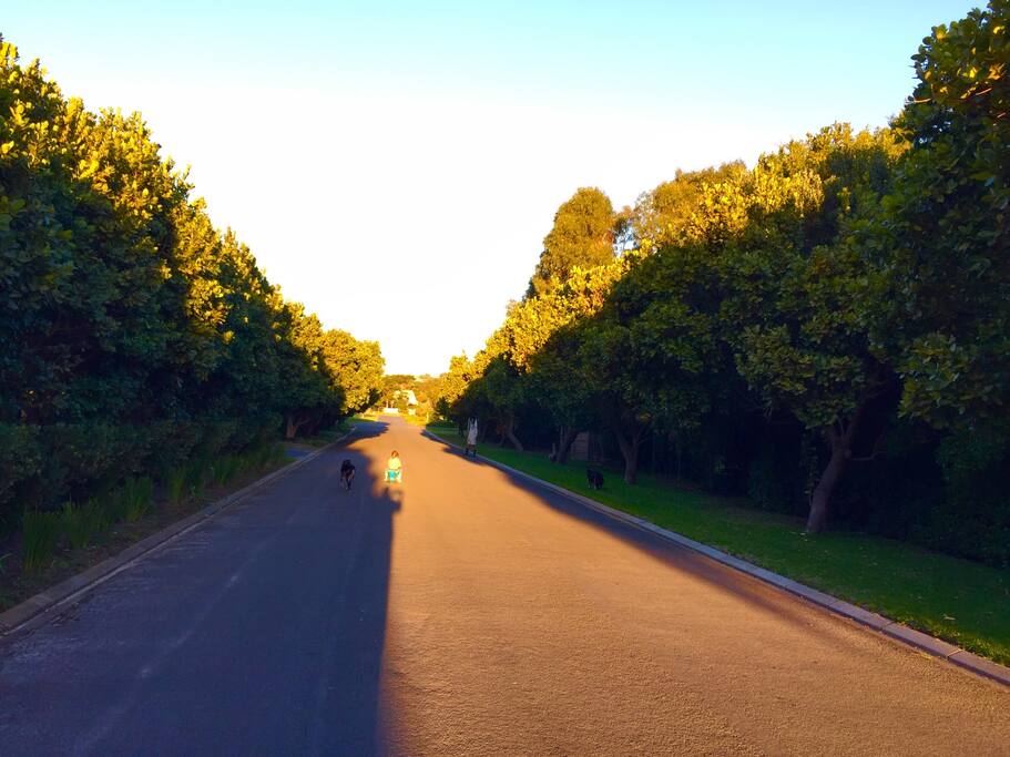 Our road