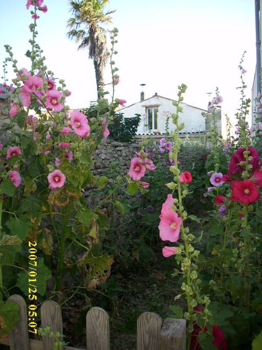 charmante venelle accédant à la maison, fleurie en été