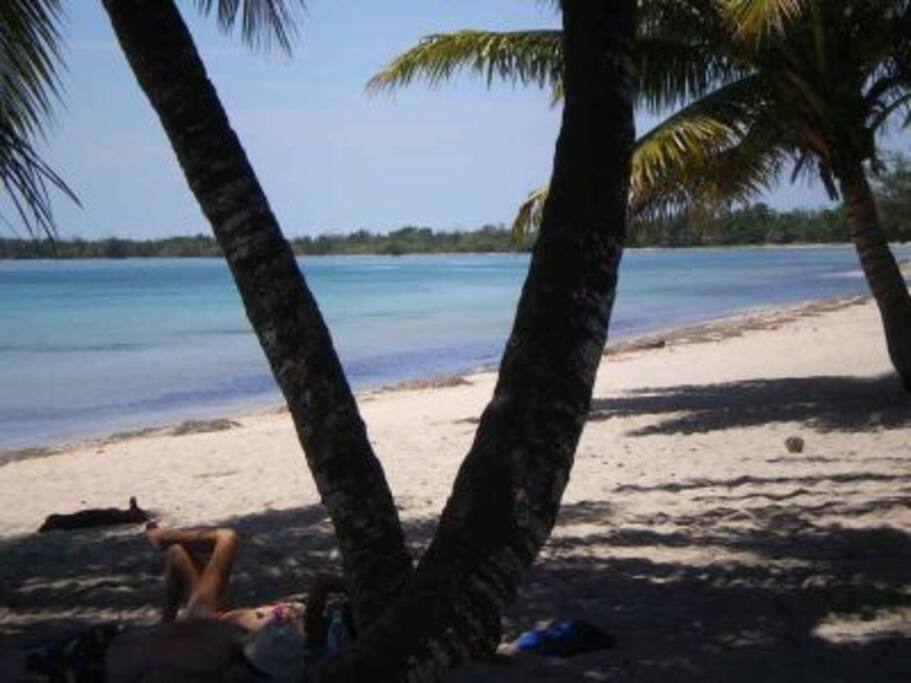 Beach view