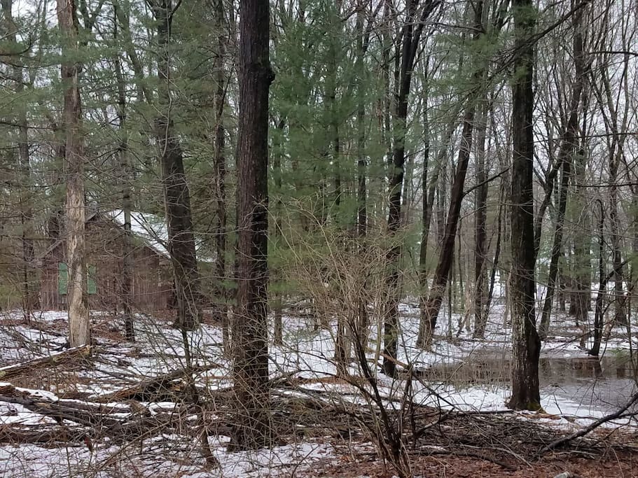 Rooms For Rent In Deer Park Ny Rooms For Rent In Deer Park Ny