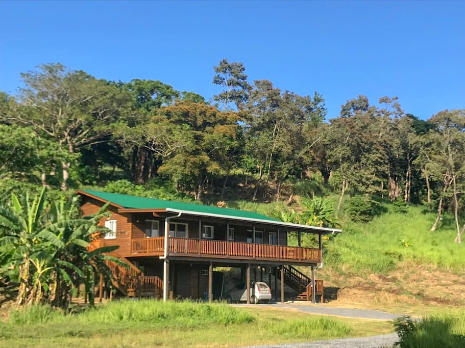 The house