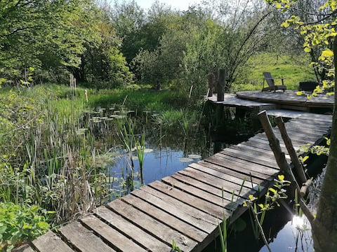 Popular Airbnb listing: The Dragonfly Cabin in Hainaut
