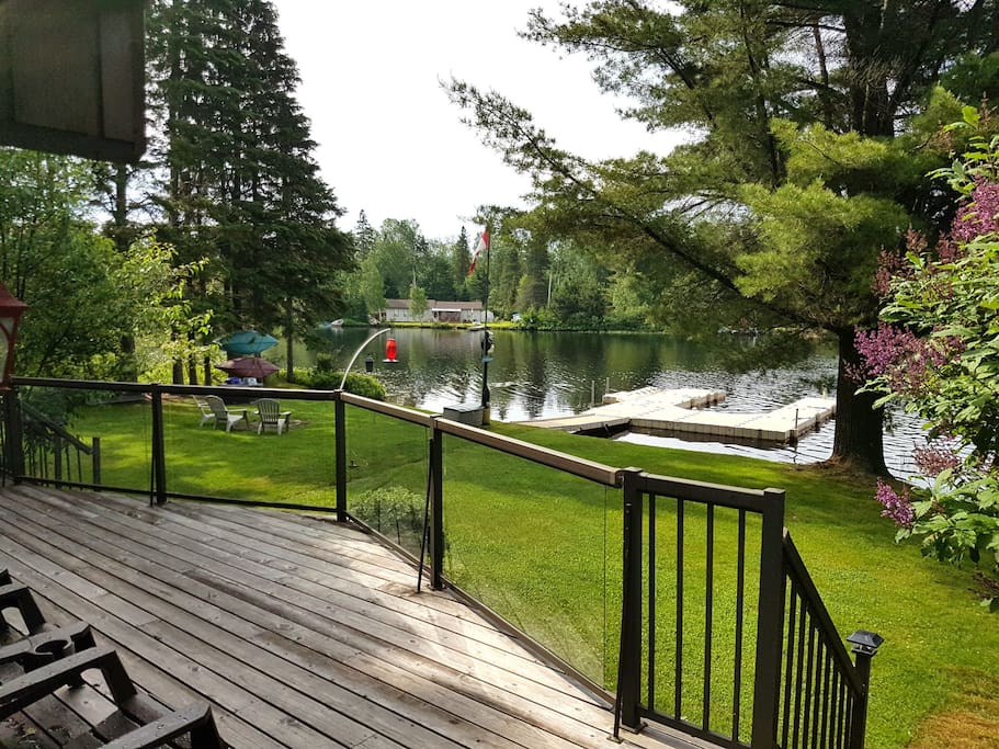 Current photo of the yard