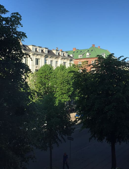 view