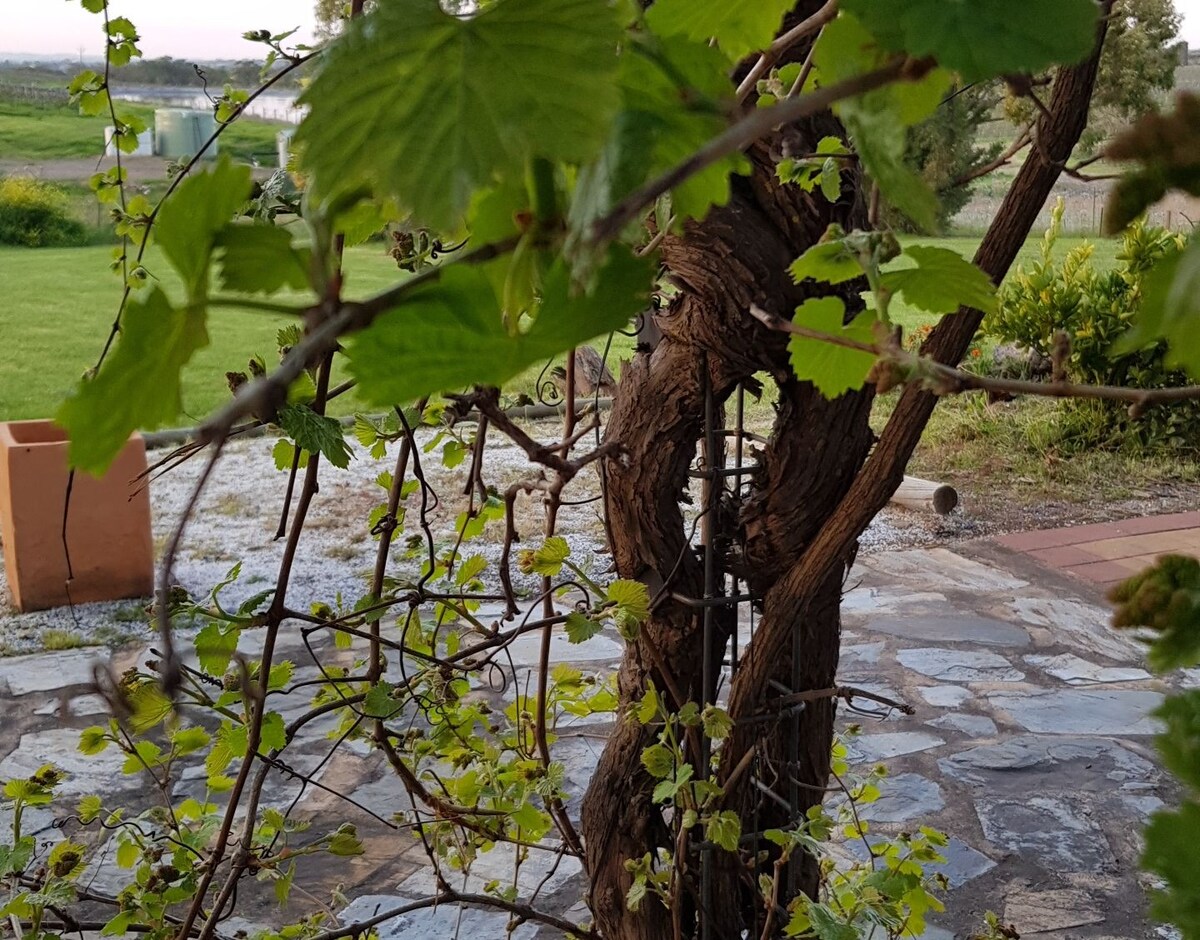 Barossa Glen