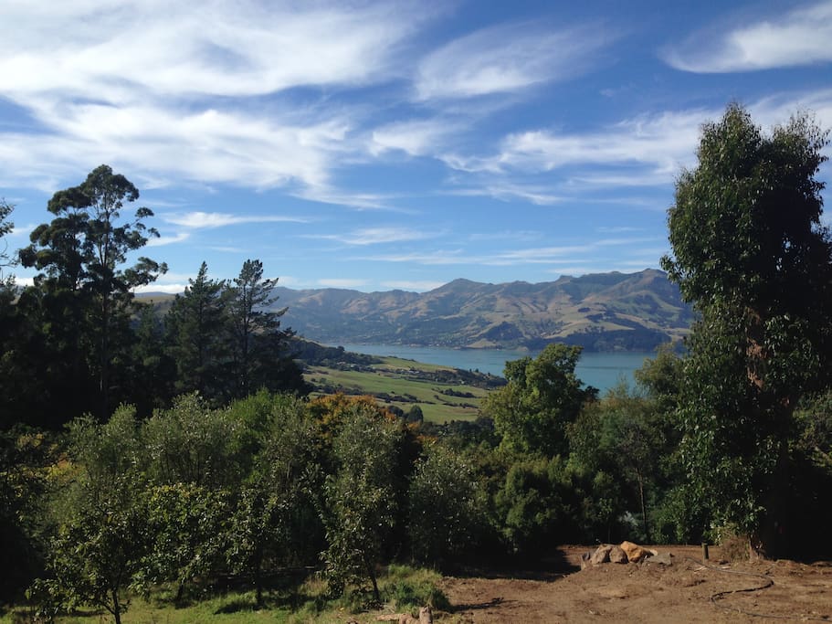 View from deck