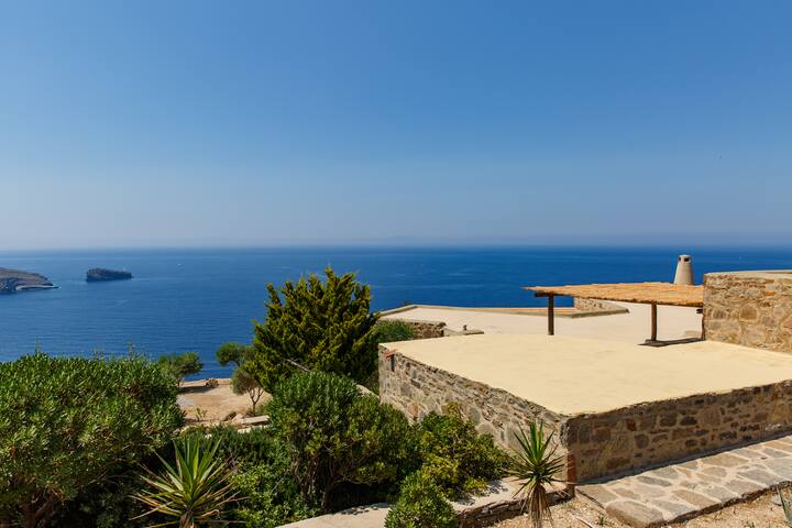 Daisies gallery image 3