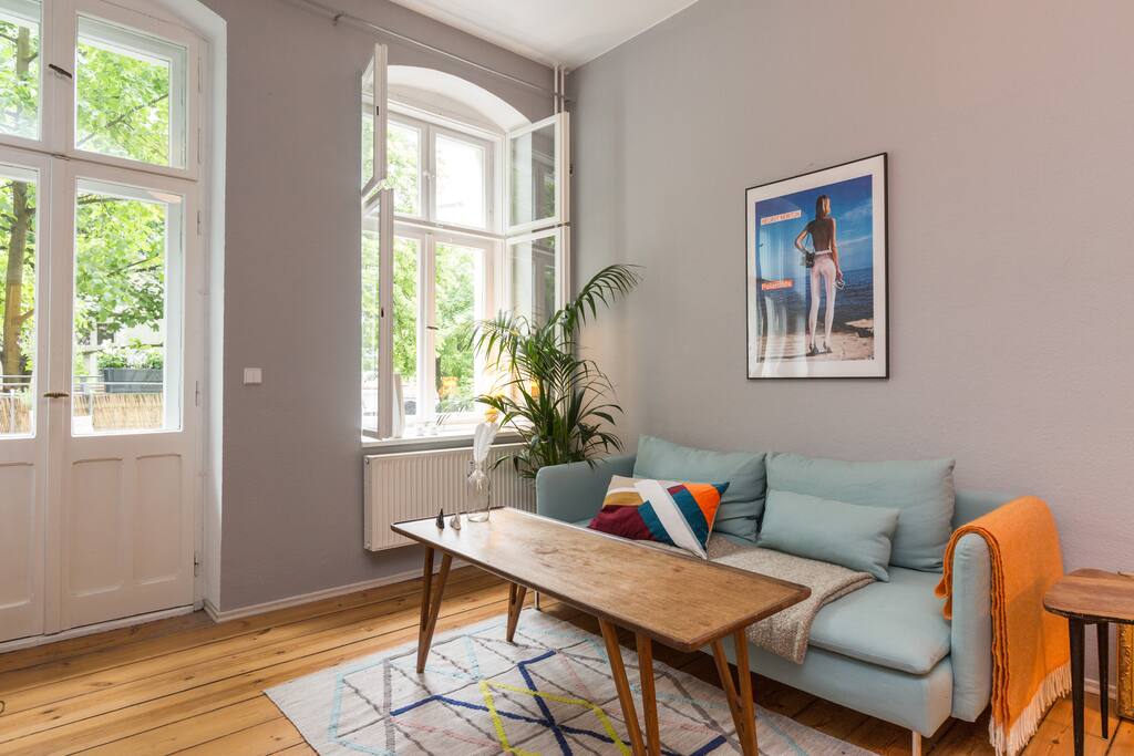 Livingroom - the couch sleeps 1 person comfortably