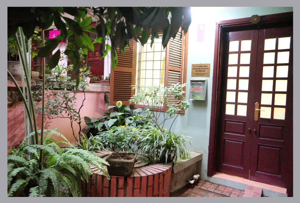 Yard
