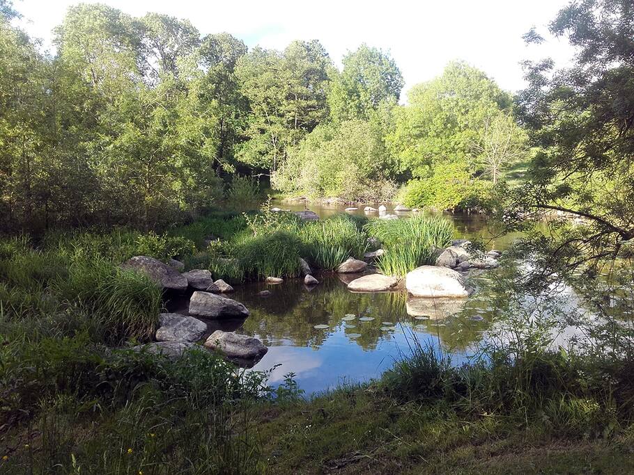 autre vue du jardin