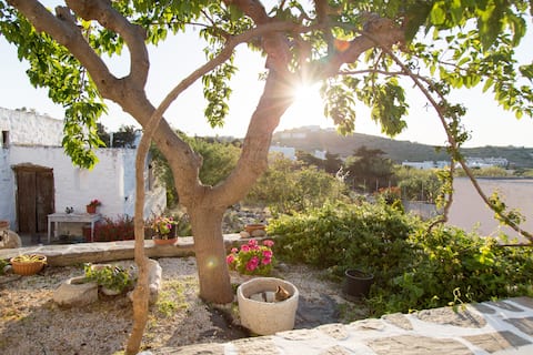 Lyssides Petres Studio A