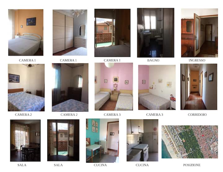 Viareggio - Grande Appartamento A 10' Dal Mare - Viareggio