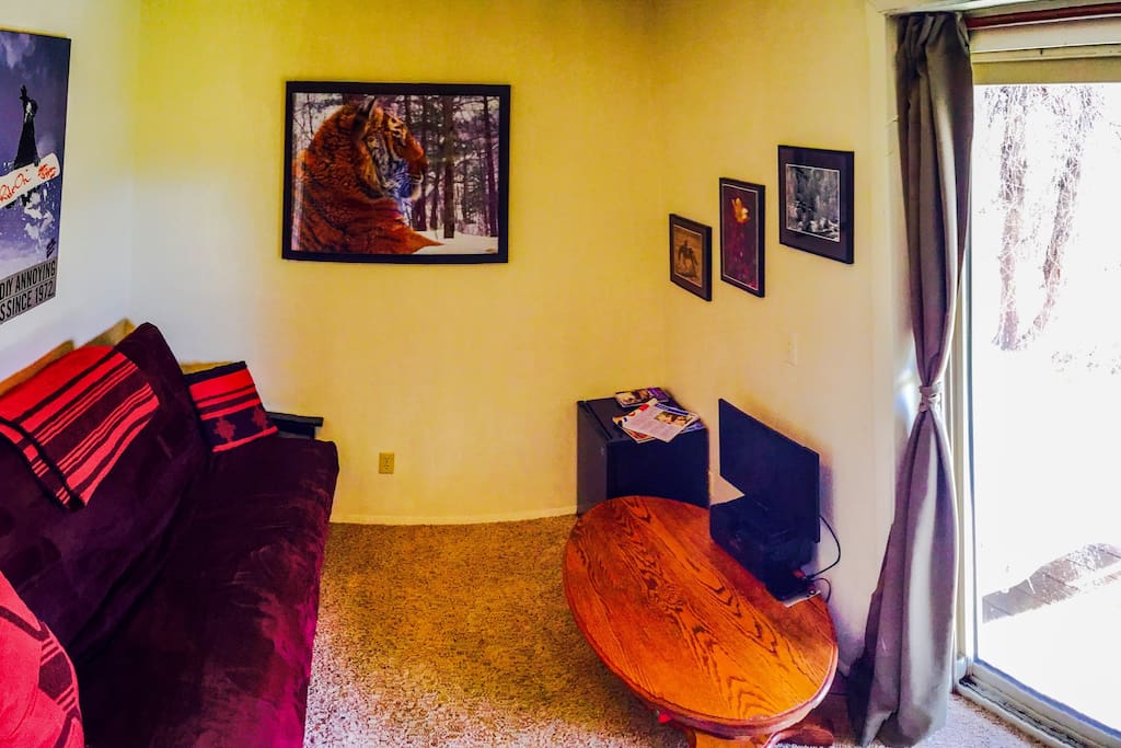 Lounge Area / Second Room with fold-out futon, mini-fridge, HDTV w/Apple TV and Netflix, and awesome creek side patio outside. All private and on your own level downstairs!
