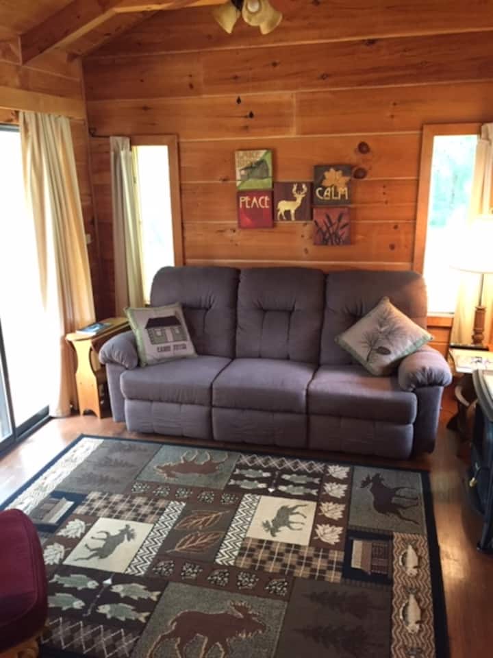 Her Redhead Cabin On Lake Hartwell W/ Private Dock - South Carolina