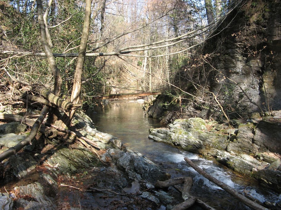 La plus grande bassine du ruisseau