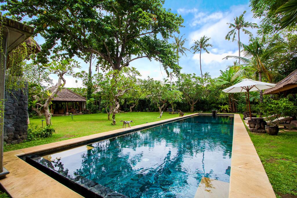 25 meter lap pool and diving board